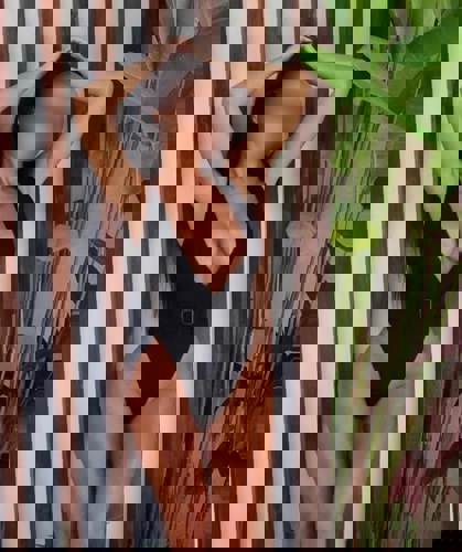 Loryenneneunatrlichampfasziniert - +491603850553, +49160-3850553, 0160-3850553