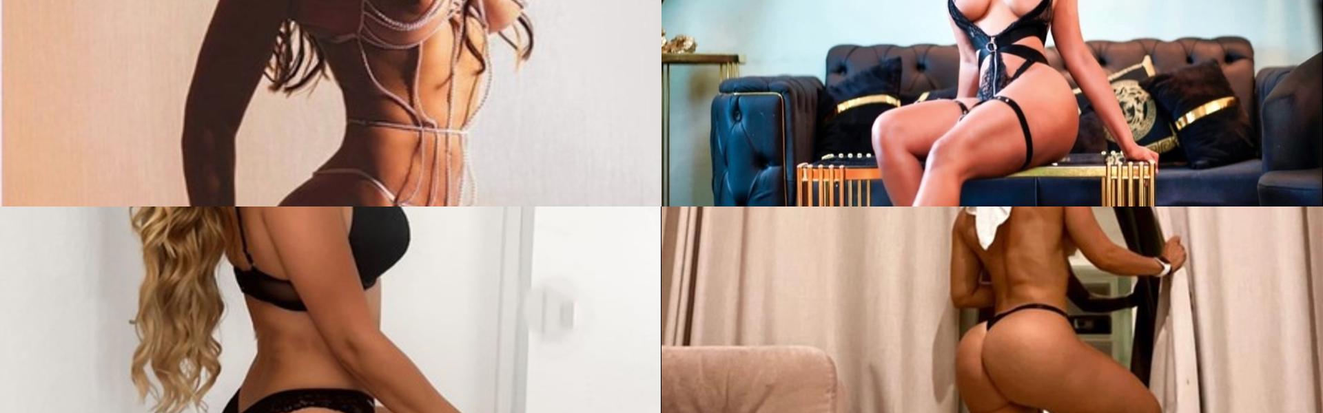 프로필 헤더 이미지