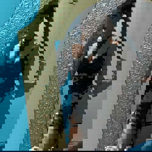 Mona11761 - +4917614910534, +49176-14910534, 0176-14910534