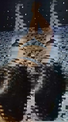 HelenGANZNEU - +4915217036321, +491521-7036321, 01521-7036321