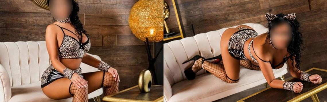 Image d'en-tête du profil