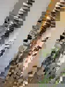 ภาพโปรไฟล์