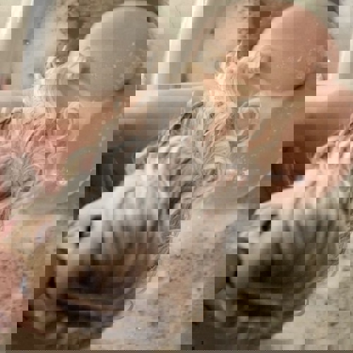 Lory17 - +4917614356224, +49176-14356224, 0176-14356224