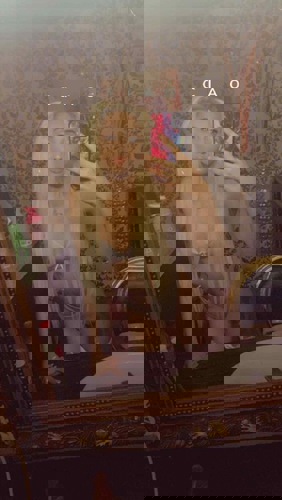 Ella1151243 - +4915124330604, +491512-4330604, 01512-4330604