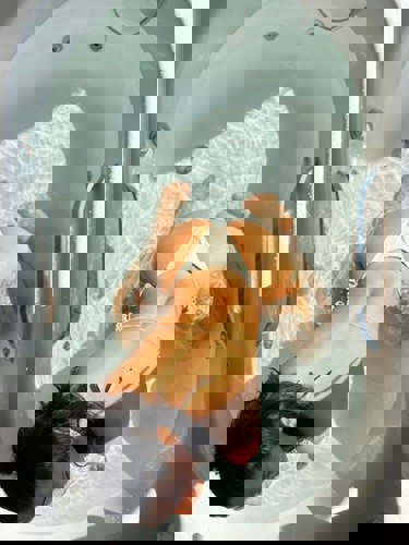 Emily152144 - +4915214436535, +491521-4436535, 01521-4436535