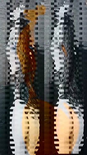 Mariana176 - +4917625089341, +49176-25089341, 0176-25089341