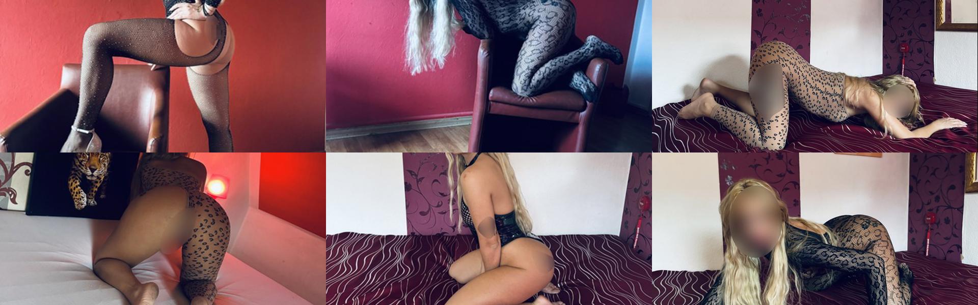 Εικόνα κεφαλίδας προφίλ