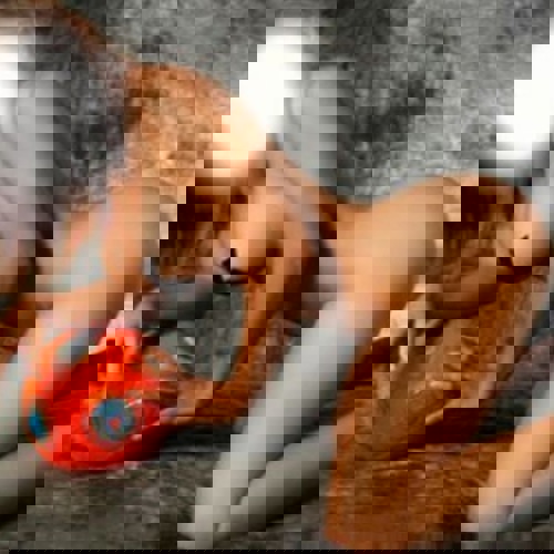 IsaSqrtngampAVExpertin15