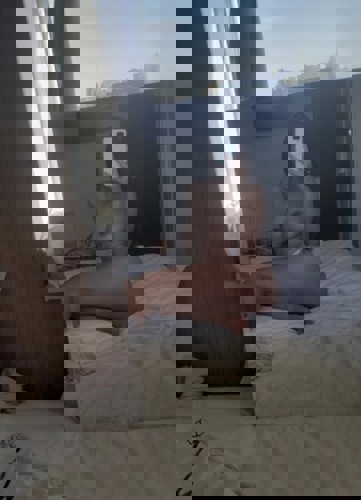 Denny1 - +4915781071892, +491578-1071892, 01578-1071892