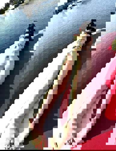 DeutscheGinaNeueNummer - +4915785607303, +491578-5607303, 01578-5607303
