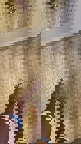 LunanurfrkurzeZeit - +4915738804390, +491573-8804390, 01573-8804390