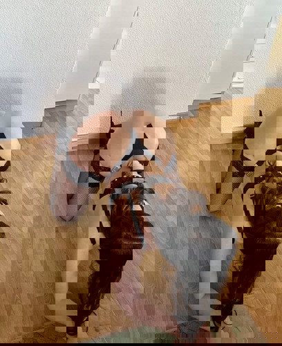 Ana1515784 - +4915784386005, +491578-4386005, 01578-4386005