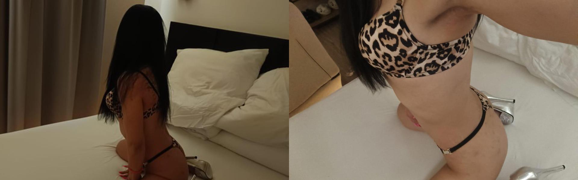 Zaglavna slika profila