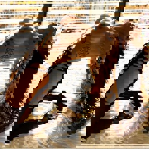 KiraDieTraumfrau - +495115692790, +49511-5692790, 0511-5692790