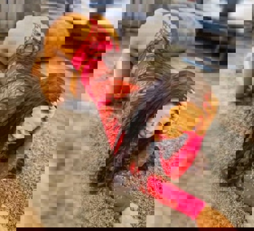 VikiFRKURZEZEIT - +4915124932678, +491512-4932678, 01512-4932678