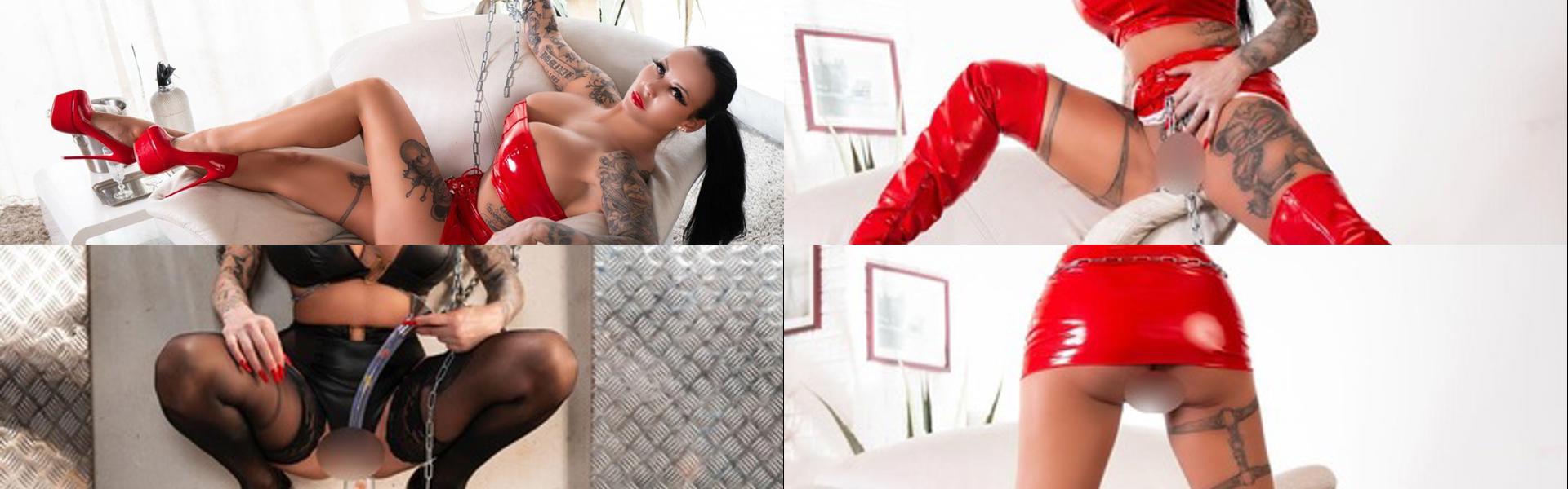 Profilio antraštės nuotrauka