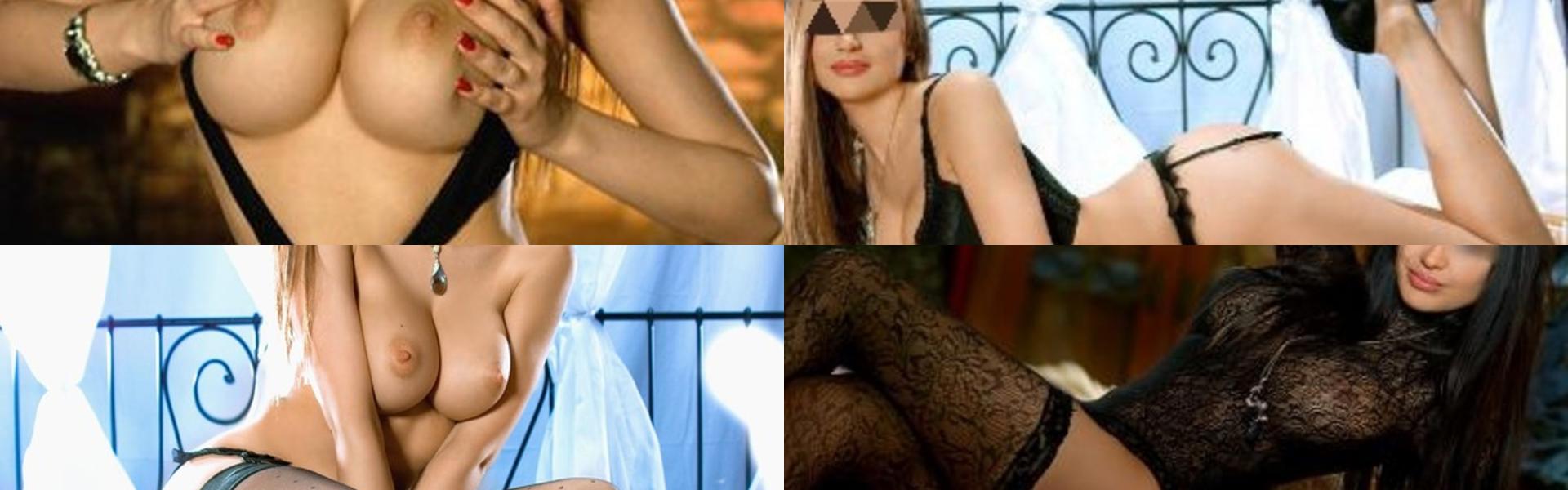 Immagine intestazione profilo