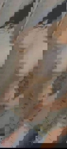 Mimi1152145 - +4915214521124, +491521-4521124, 01521-4521124