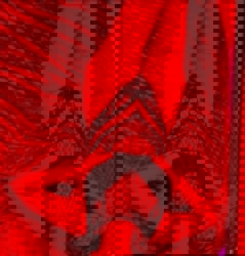 EwaBrandneu1 - +4915770960867, +491577-0960867, 01577-0960867