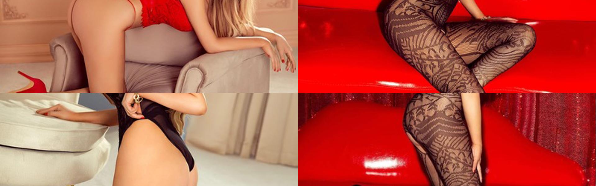 Ảnh tiêu đề hồ sơ