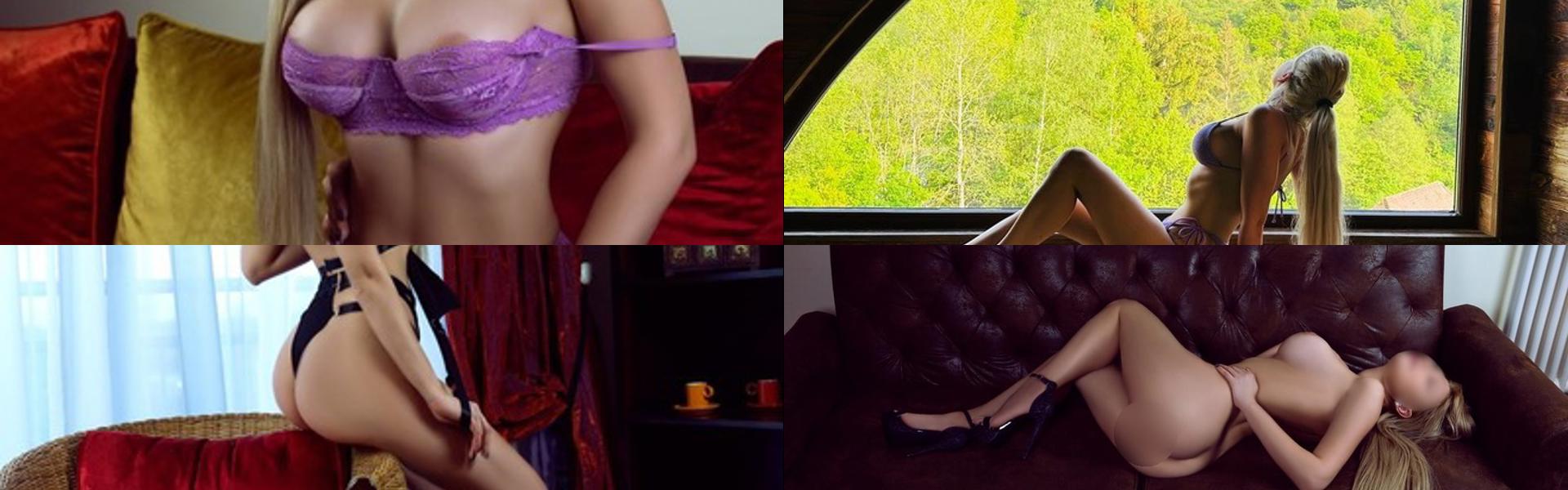 Zaglavna slika profila