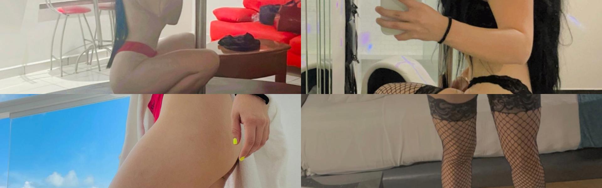 תמונת כותרת הפרופיל