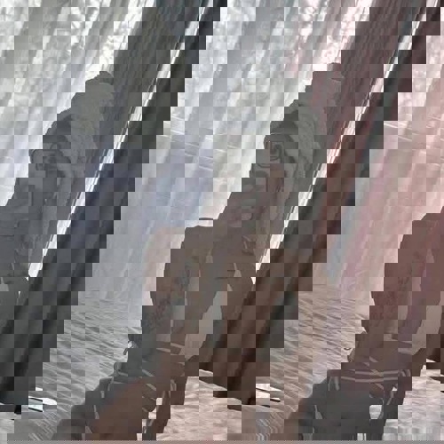 Anastasia3 - +49393533559504, +493935-33559504, 03935-33559504