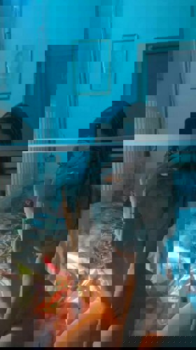 Alice7568 - +33756844346, +337-56 84 43 46, 07-56-84-43-46