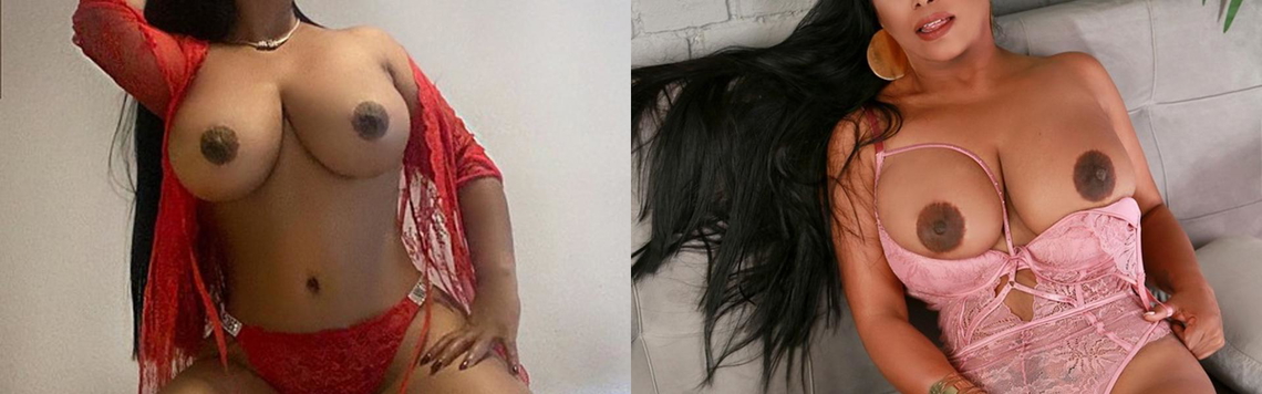 תמונת כותרת הפרופיל