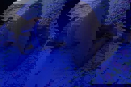Anna1157771 - +4915777120015, +491577-7120015, 01577-7120015