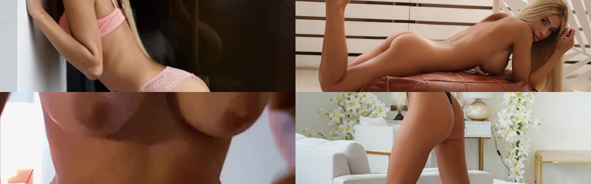 프로필 헤더 이미지