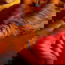 Immagine del profilo