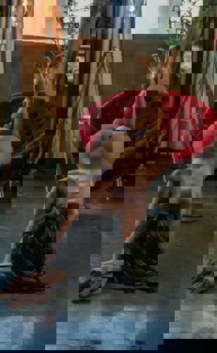 HeieDuoClaraampErika - +4915789899812, +491578-9899812, 01578-9899812