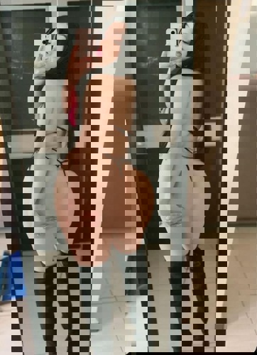 Shannyssse22J - +4915510715459, +4915510-715459, 015510-715459