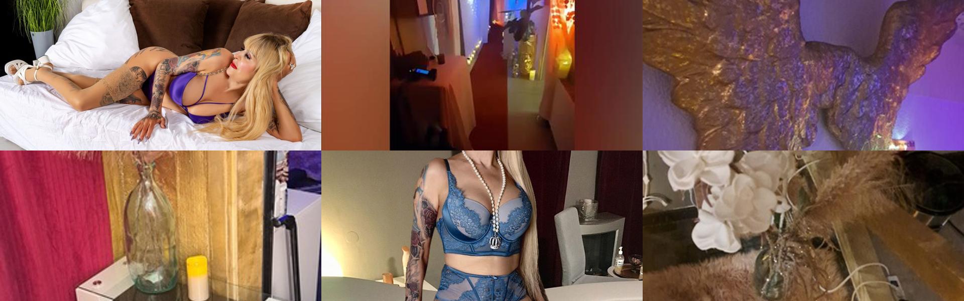 Imagen de encabezado del perfil