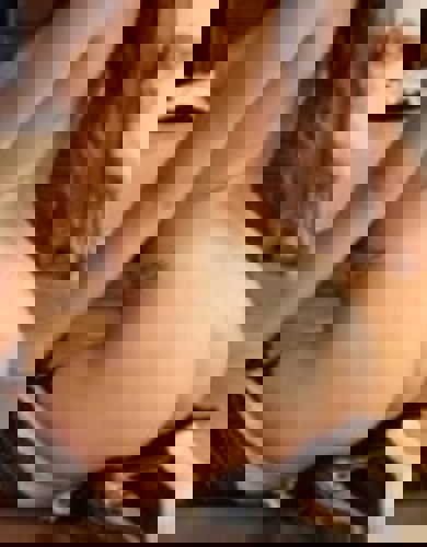 NikitaWIEDERDA - +49436606314629, +494366-06314629, 04366-06314629