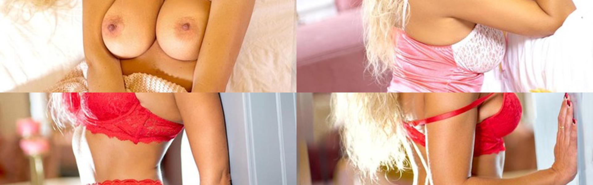 ภาพส่วนหัวโปรไฟล์