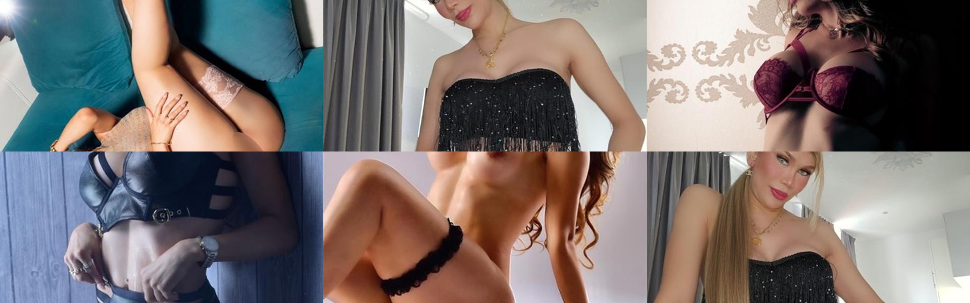 Zaglavna slika profila