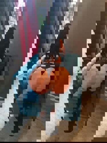 LAURADEUTSCH16 - +491637871318, +49163-7871318, 0163-7871318