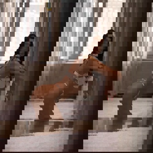 VanessaNEU15215 - +4915215254937, +491521-5254937, 01521-5254937