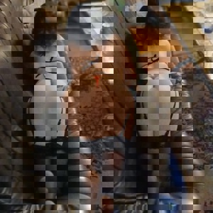 תמונת הפרופיל