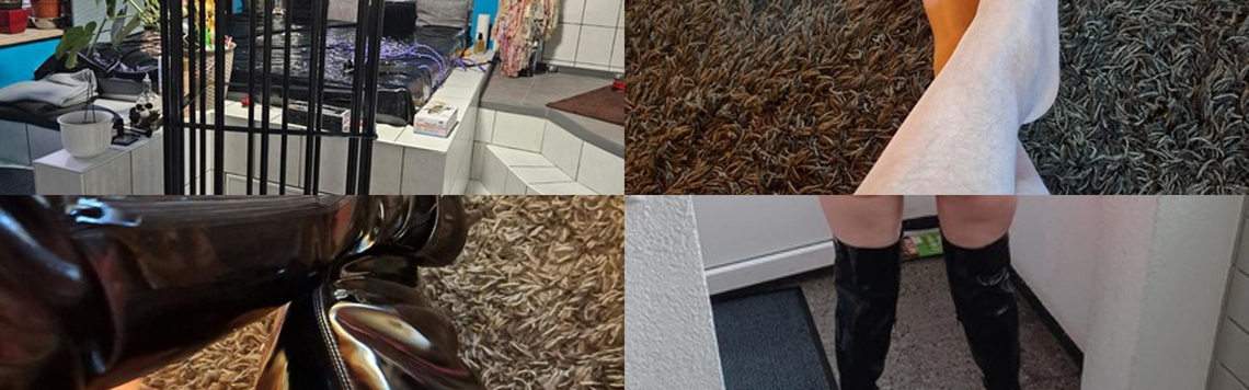 प्रोफ़ाइल हैडर छवि