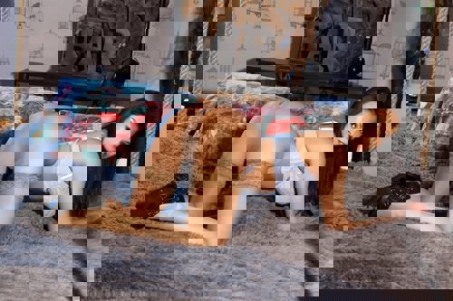 Sandy1 - +491755793246, +49175-5793246, 0175-5793246