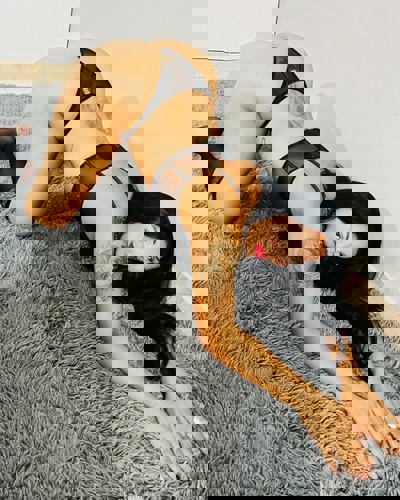 Mariana176 - +4917625089341, +49176-25089341, 0176-25089341