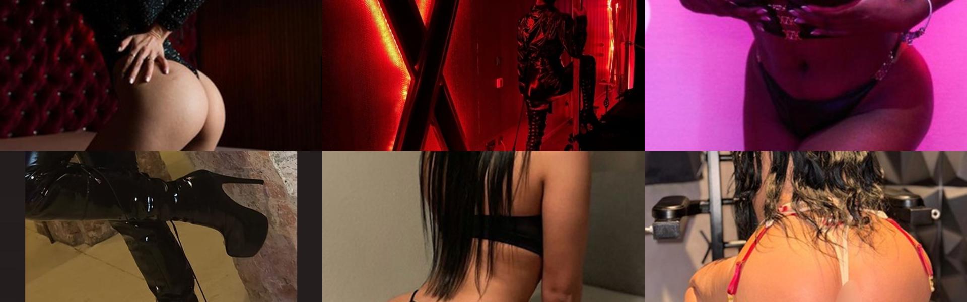 프로필 헤더 이미지