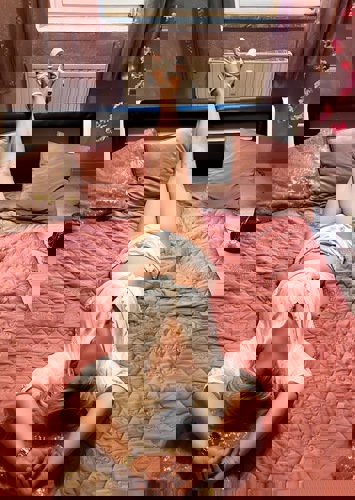 JanettekeineAnrufenurSMSundWhats - +491747206267, +49174-7206267, 0174-7206267