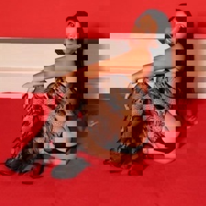 Immagine del profilo