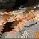 ภาพโปรไฟล์