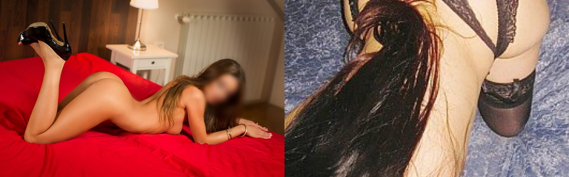 Immagine intestazione profilo