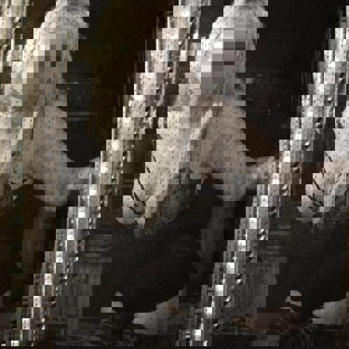 Bellaprivat - +491625630638, +49162-5630638, 0162-5630638